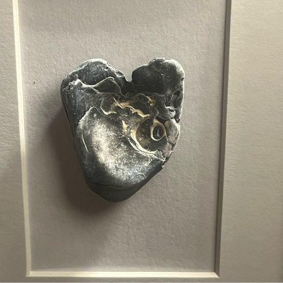 Framed Heart Shaped Shell Virginia Beach by Lucky Mischa NEW Wall or Table Art - Picture 2 of 3